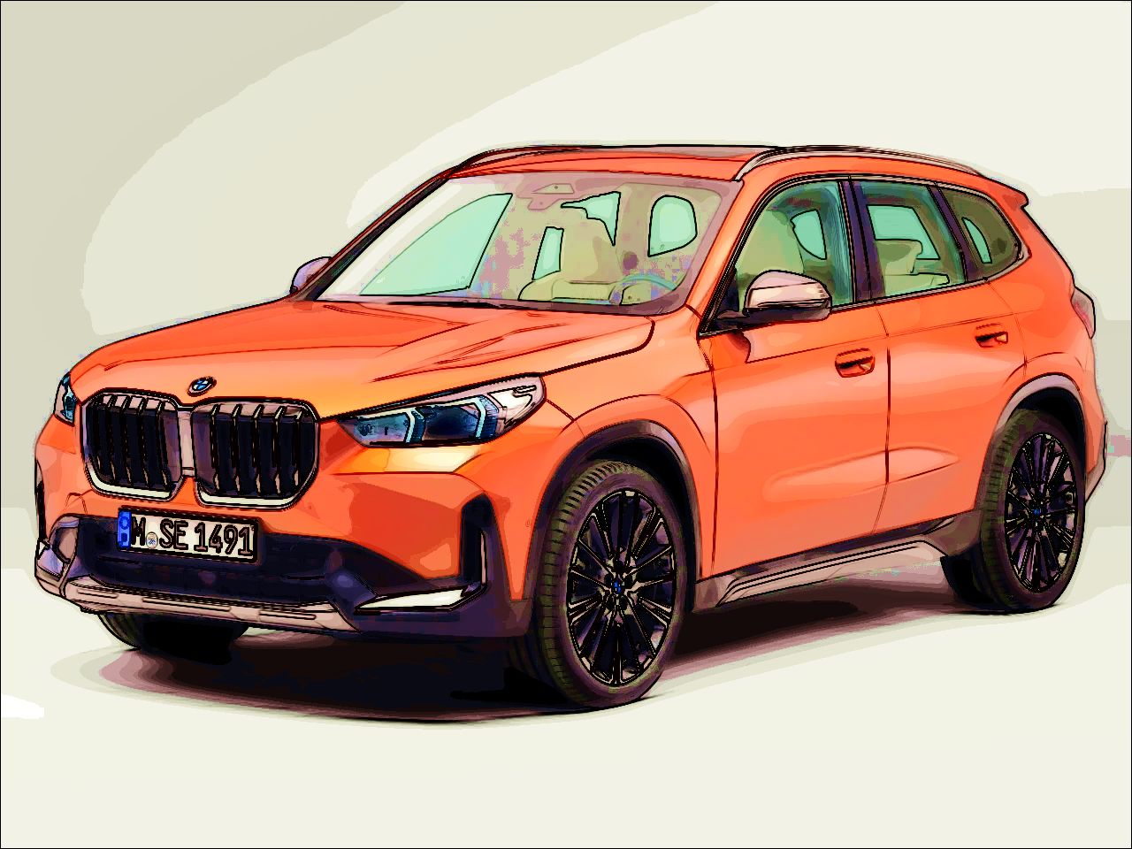 BMWX1